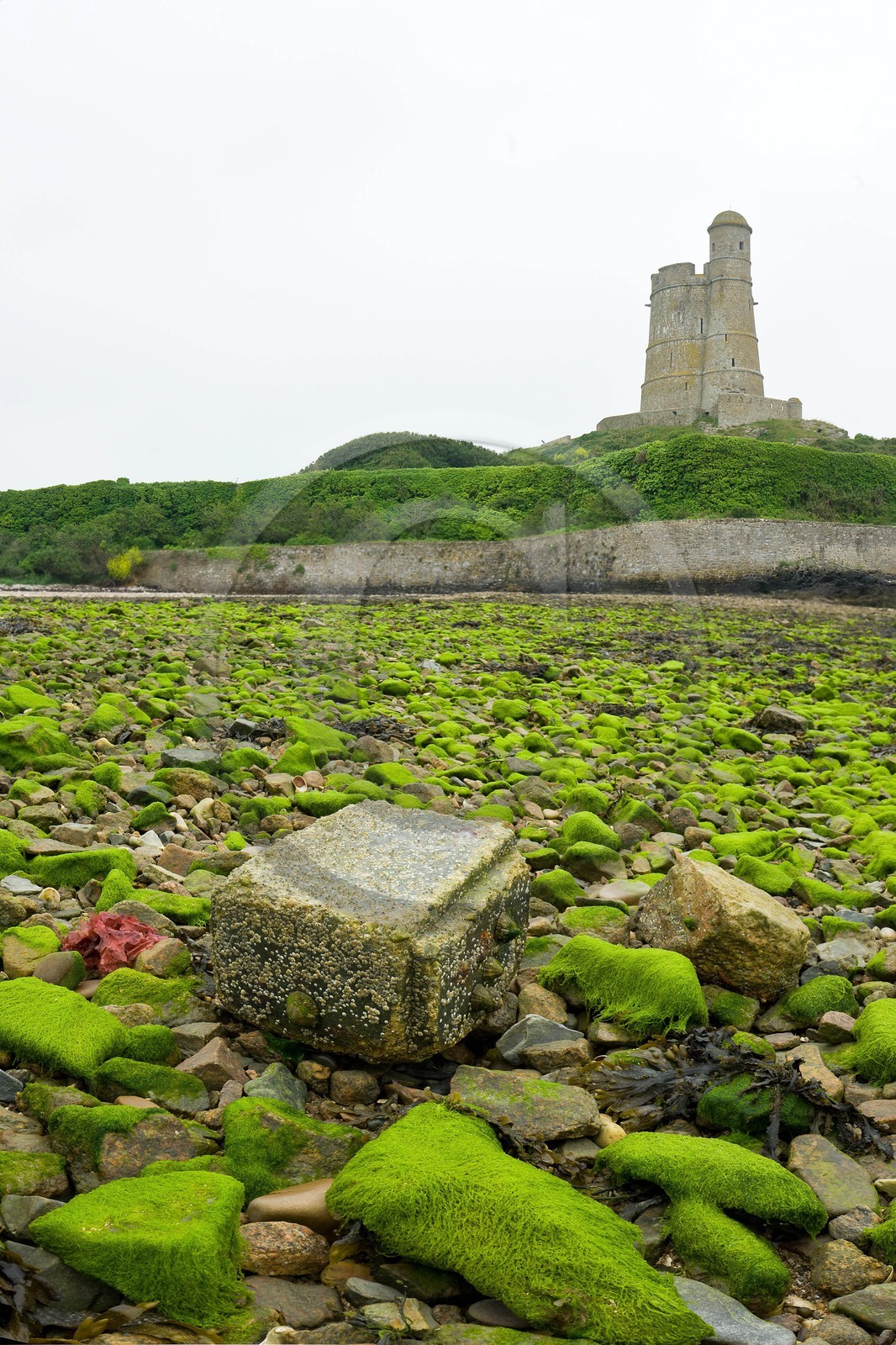 Saint-Vaast-la-Hougue