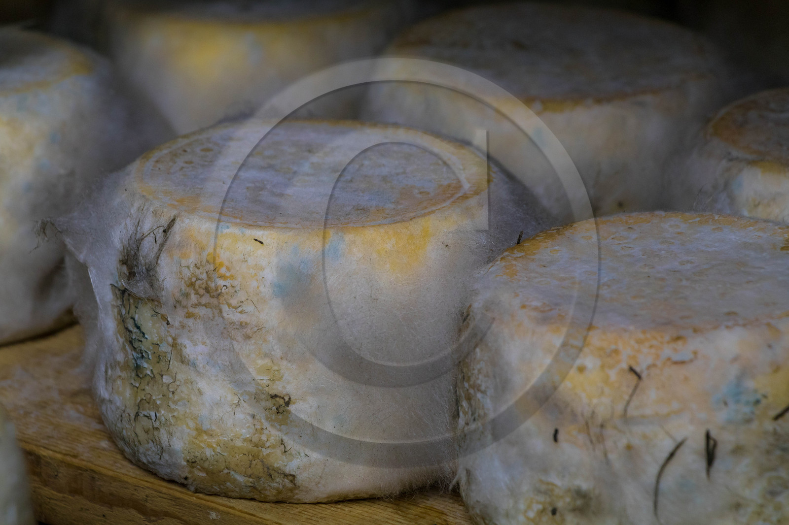 Gaec La chèvrerie des Combettes