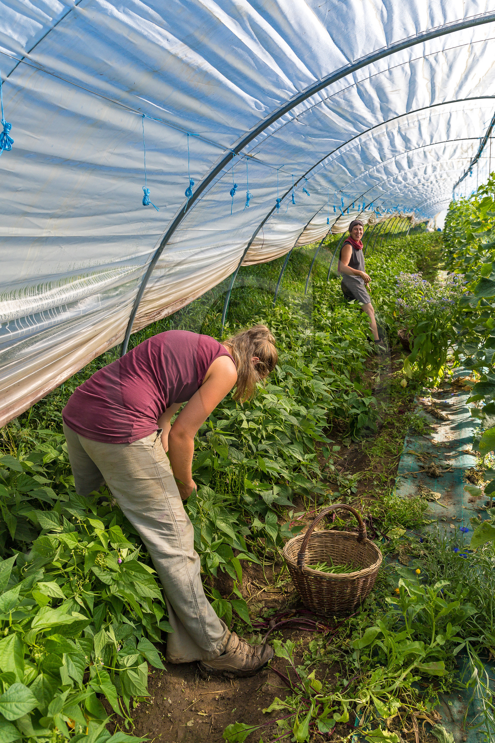 LéguMontagne, Sylvie Jaussaud et  Bertille Gieu, Maraîchères bio