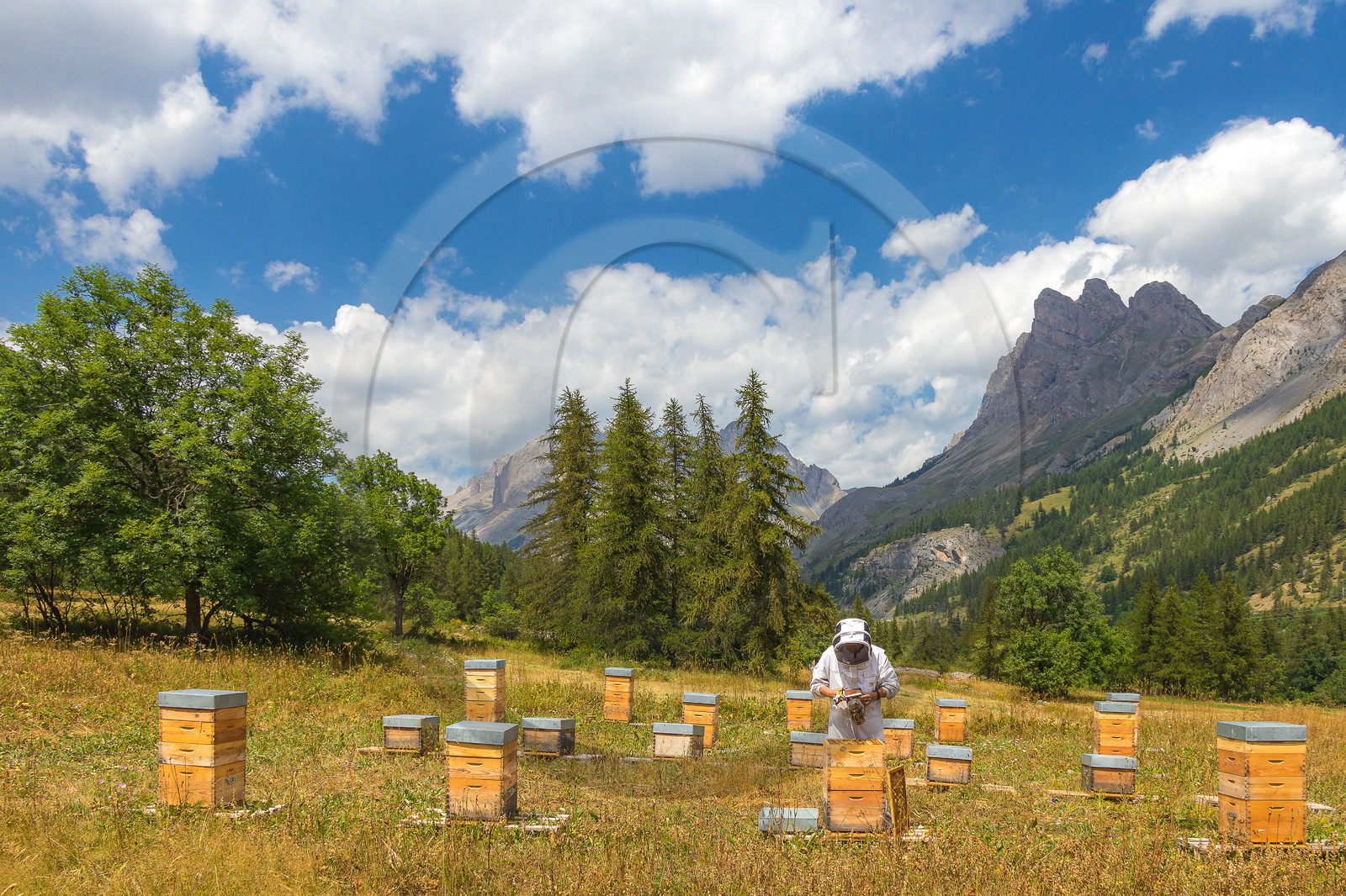 Miellerie de Serre Chevalier