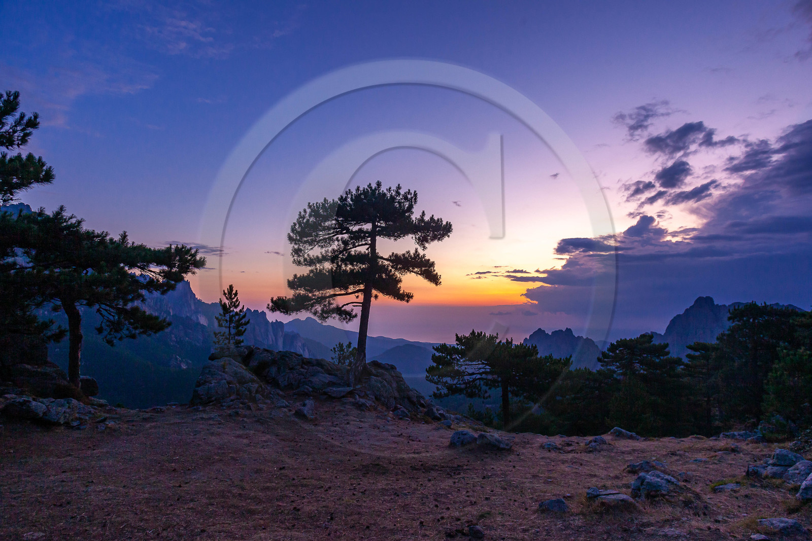 Les Aiguilles de Bavella (forchi di Bavedda )
