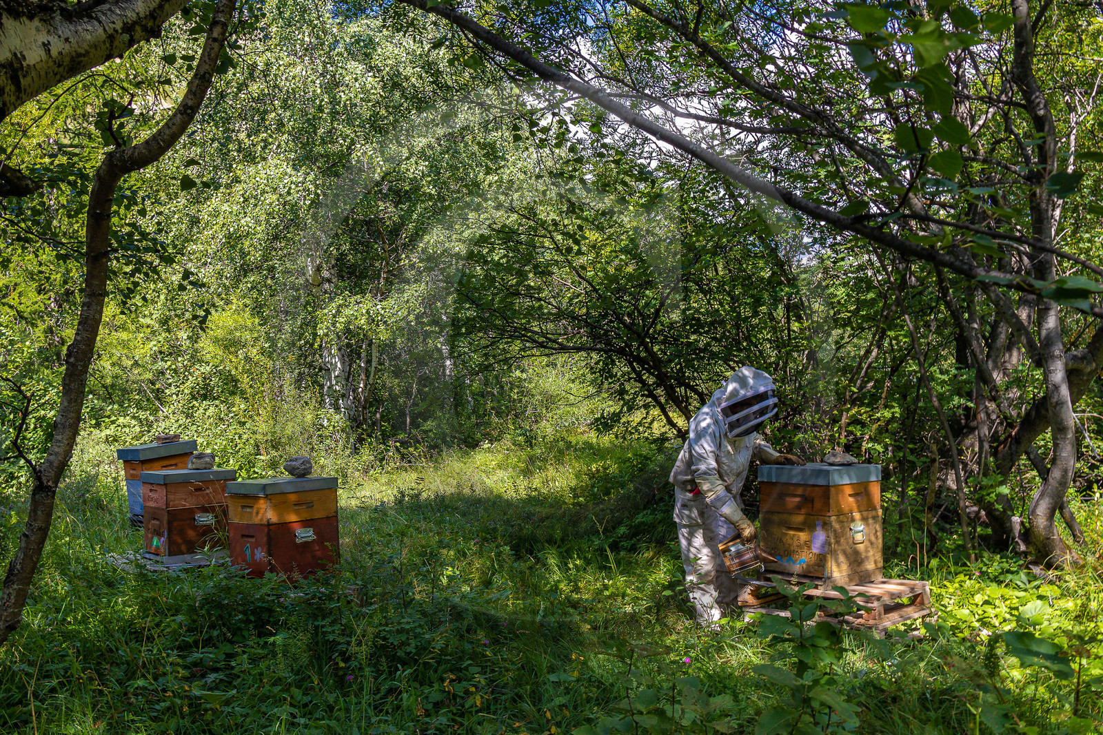 La miellerie du Lauzet