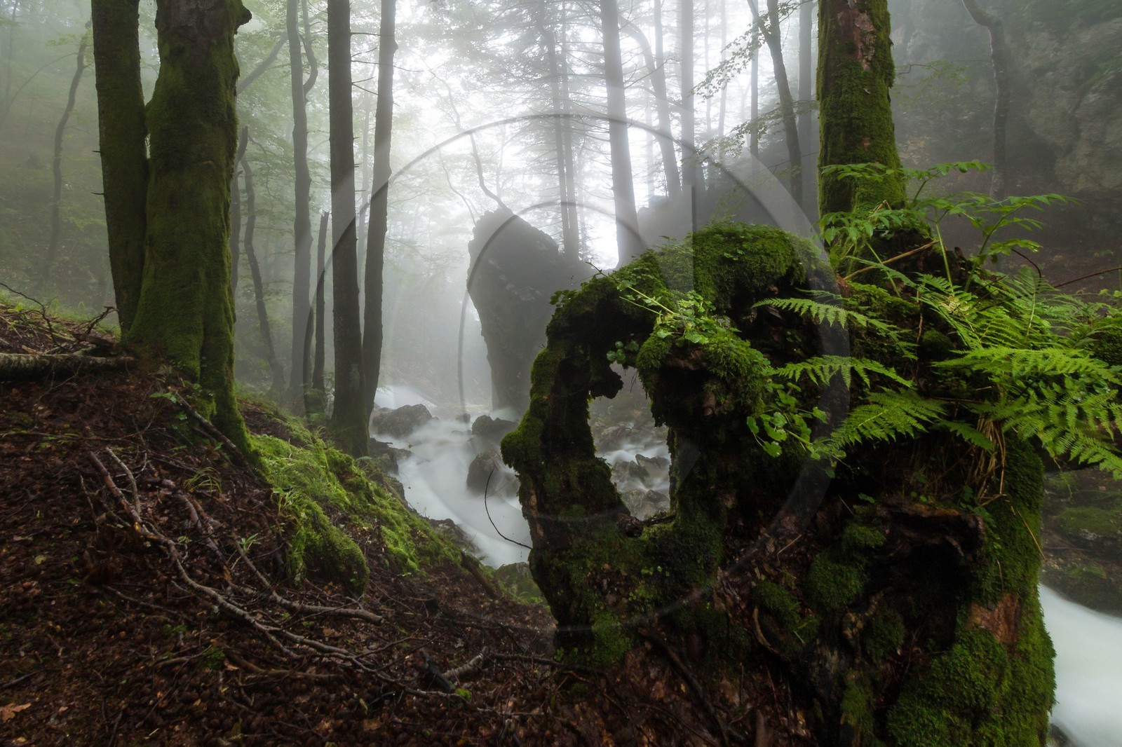 ENS de l'Isère, Les Ecouges
