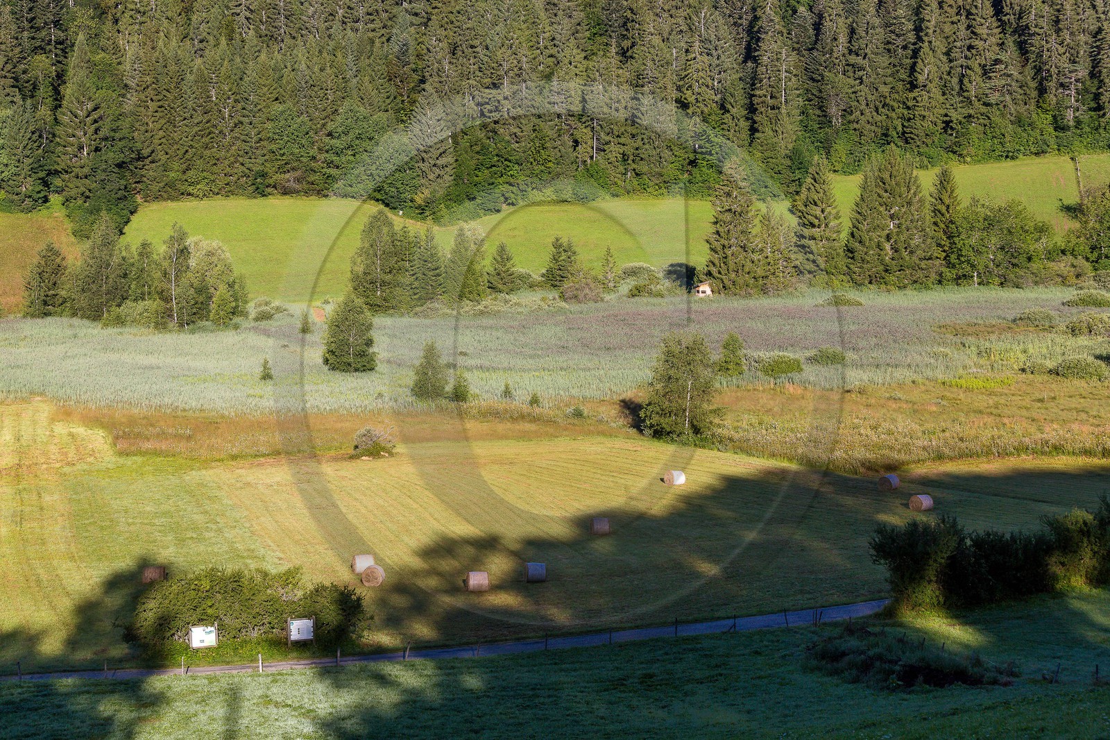 ENS de l'Isère, Marais des Sagnes