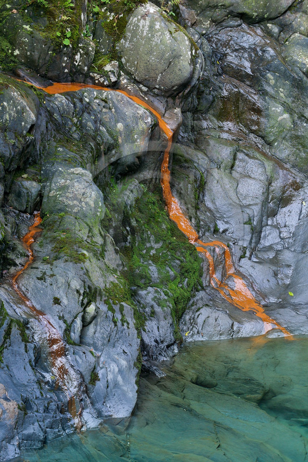Gorges de la Diozaz, source ferrugineuse