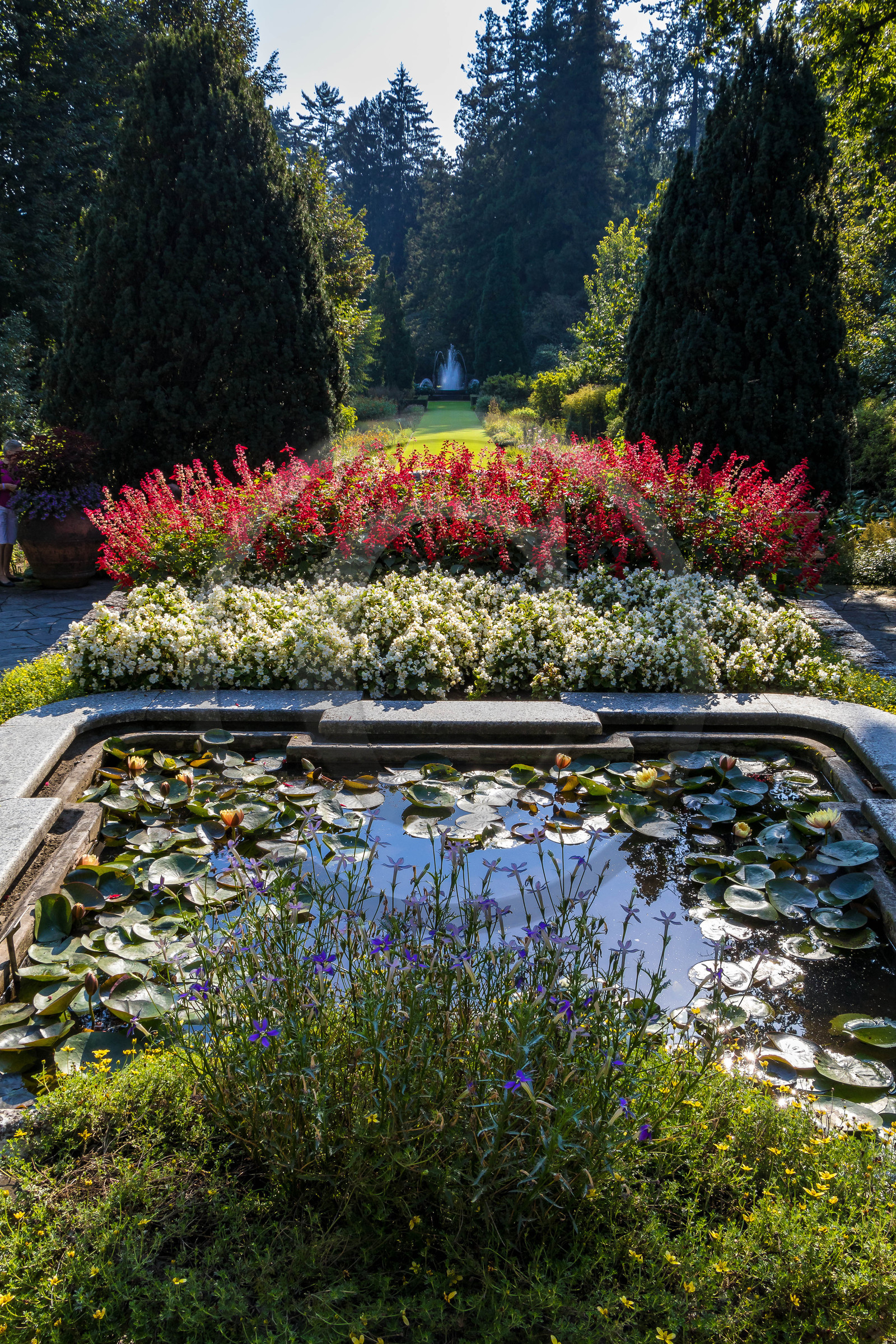 Jardin botanique de la villa Taranto