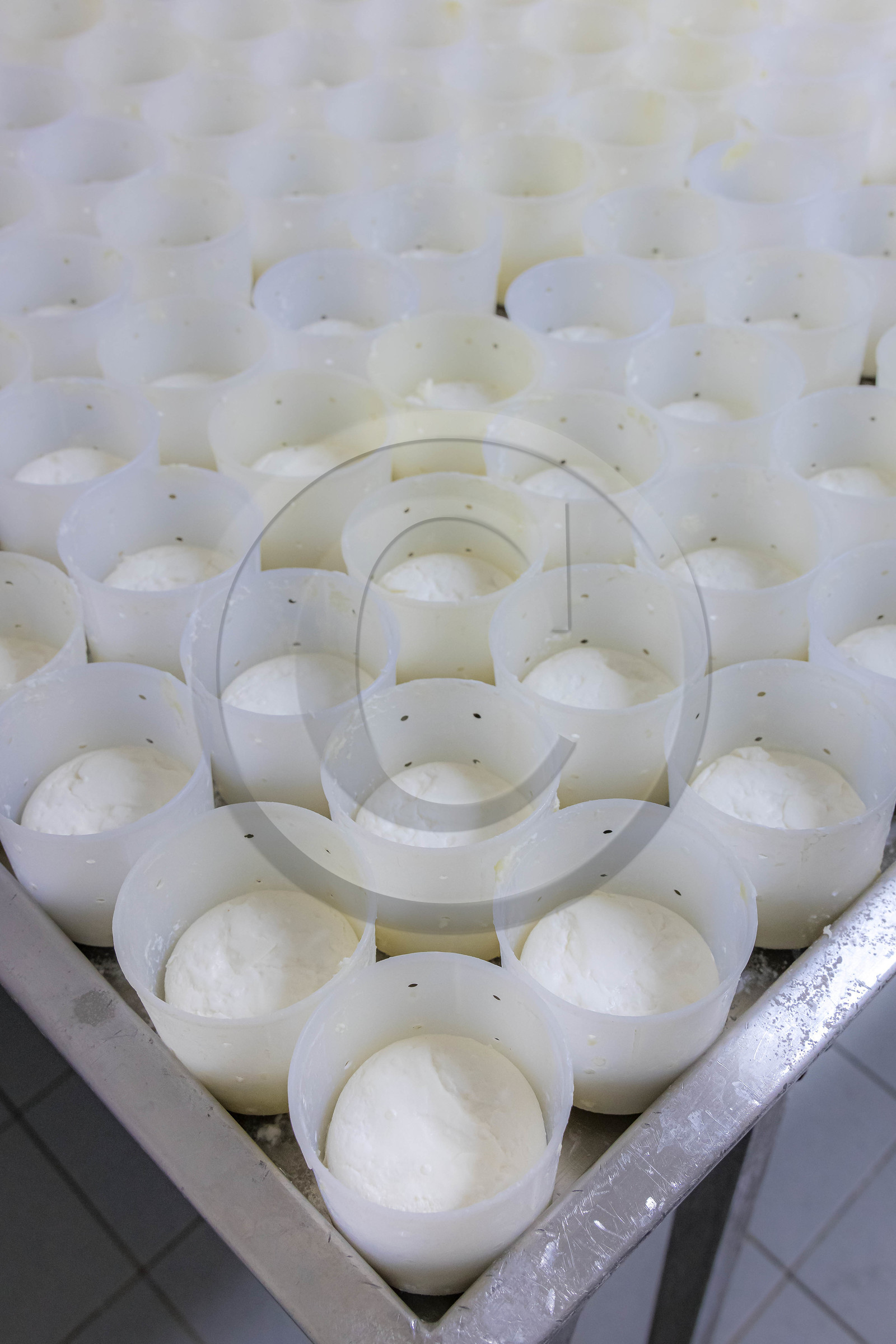 Gaec La Ferme des Ecrins