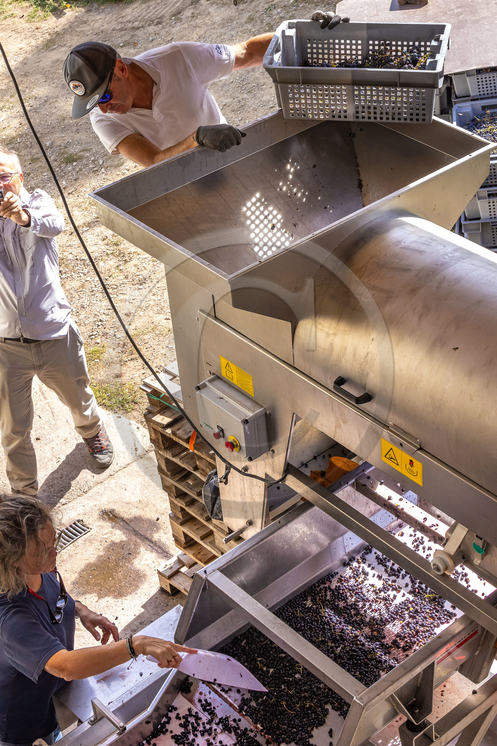 Domaine du Mont Guillaume