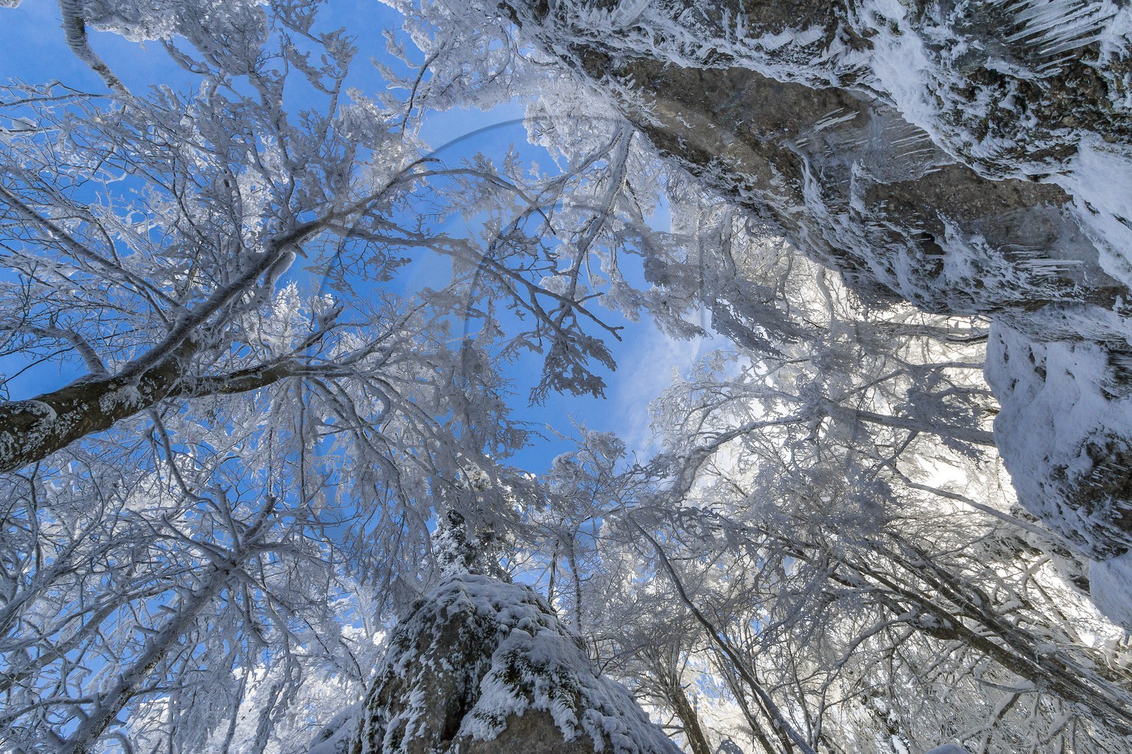 ENS de l'Isère, Les Ecouges