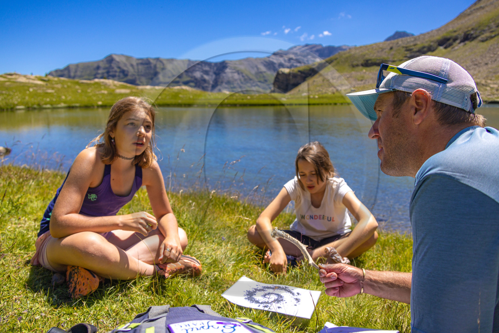 Logo du Parc national des Ecrins