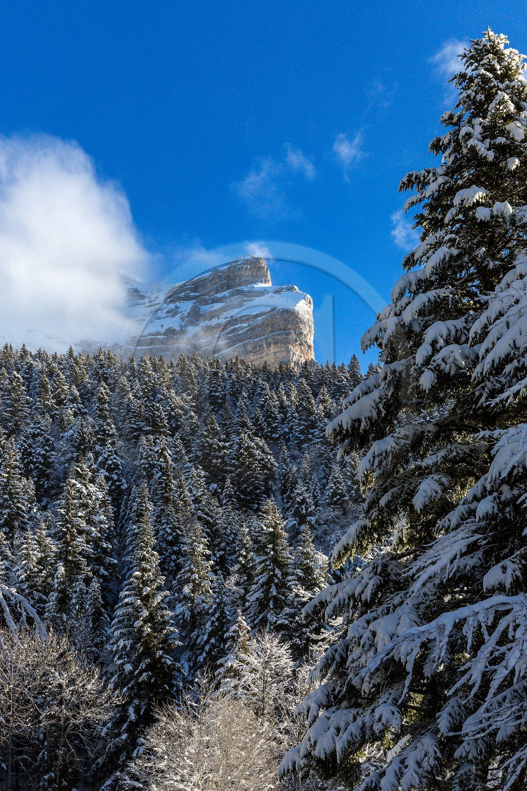 Espace naturel sensible de l'Isère, Col du Coq