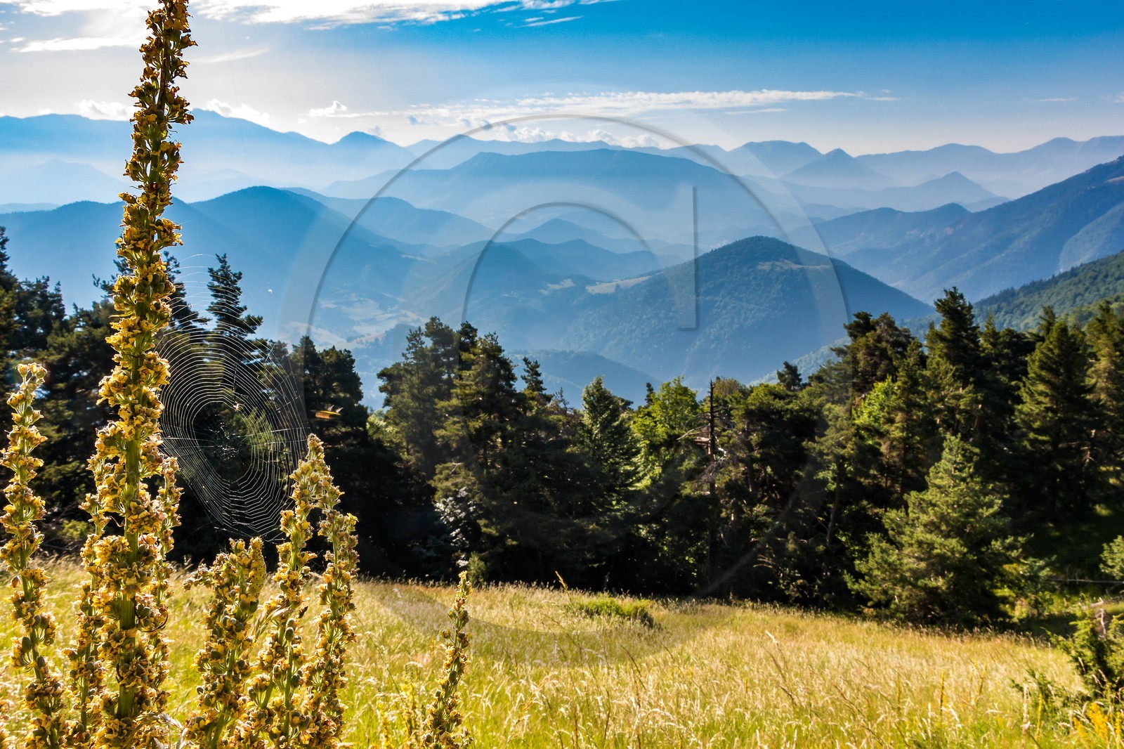 Les Monges, du col de la Pinée