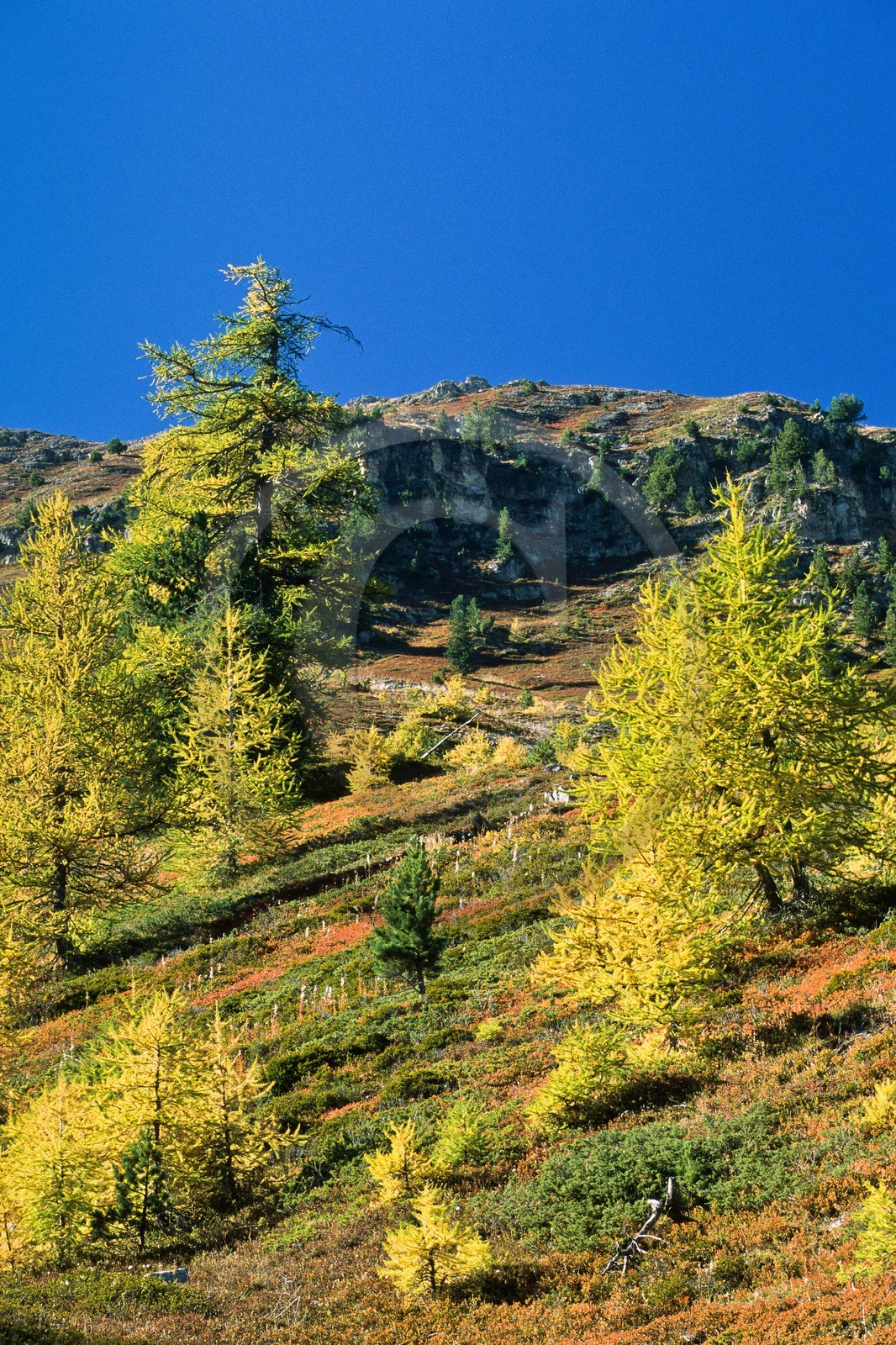 Sentier du col Fromage
