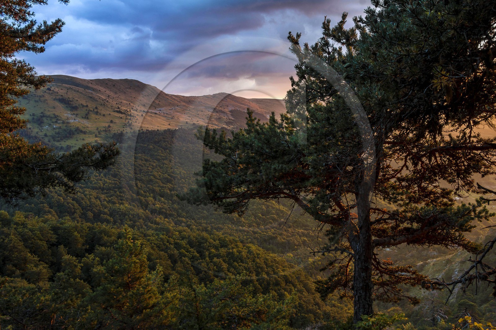 Les Monges, vallon de Reynier
