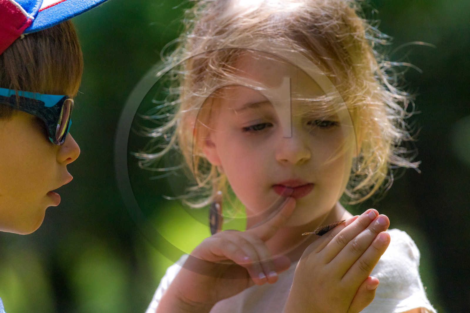 Curieux de nature, sortie découverte avec Cyril Mahout