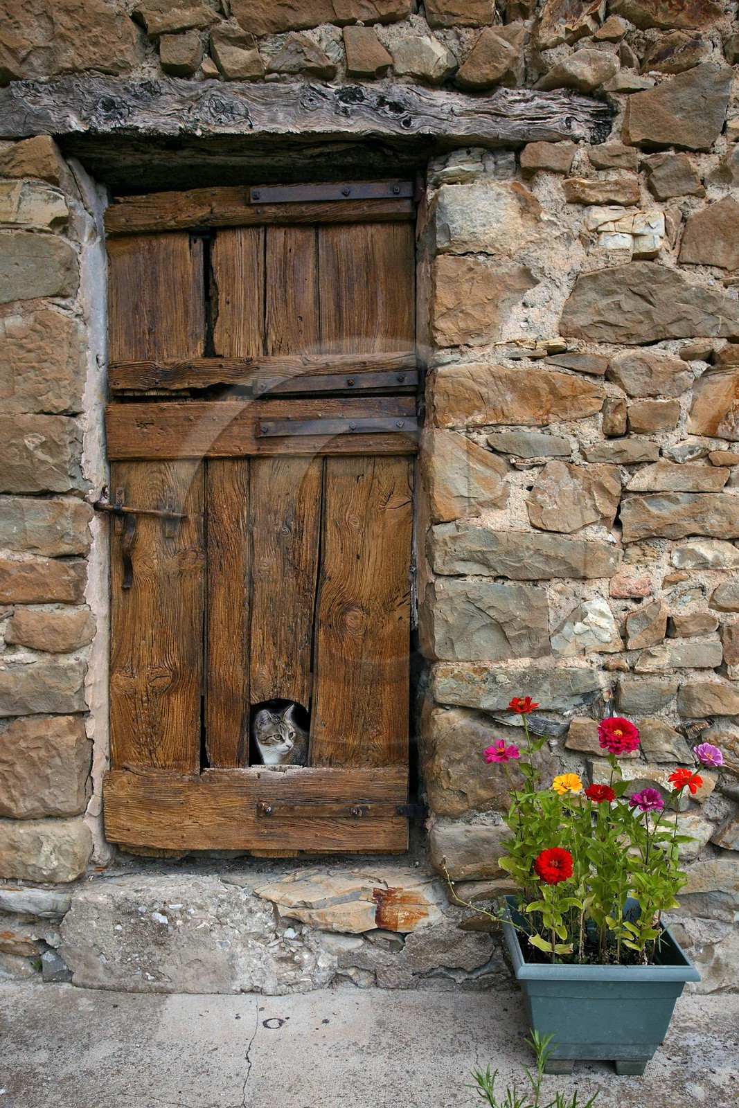 Saint-André de Rosans, Chambres et tables d'hôtes La Condamine