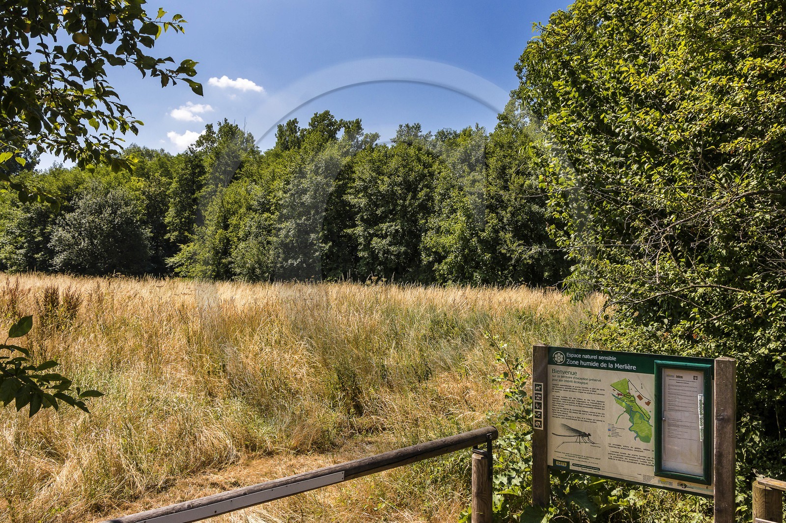 ENS de l'Isère, Zone humide de la Merlière