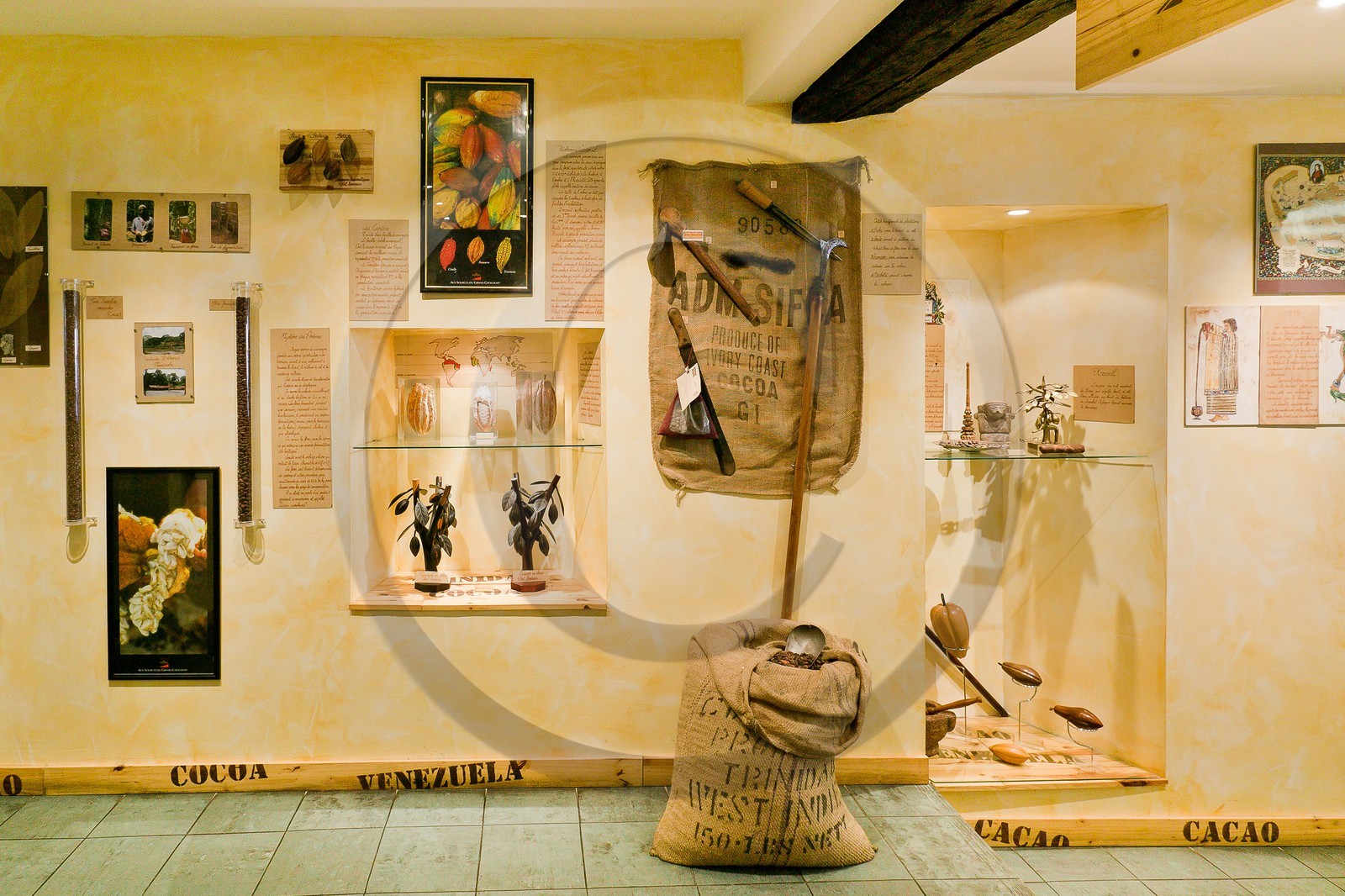 Luc Eyriey, Maître chocolatier à Embrun