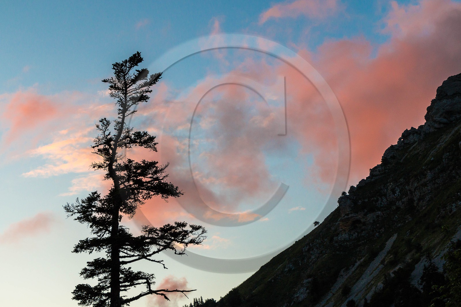 vallon de La Jarjatte