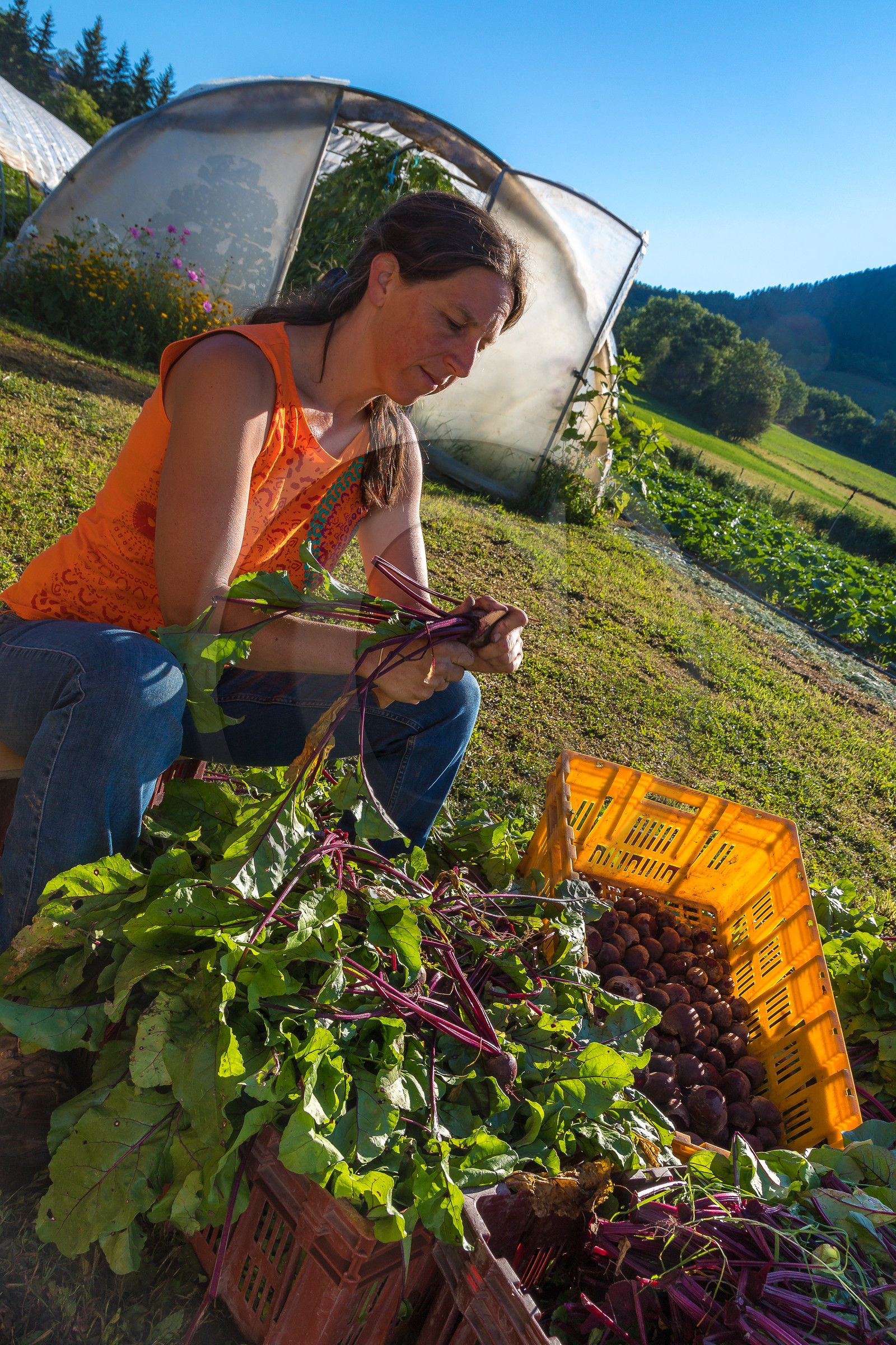 LéguMontagne, Sylvie Jaussaud et  Bertille Gieu, Maraîchères bio