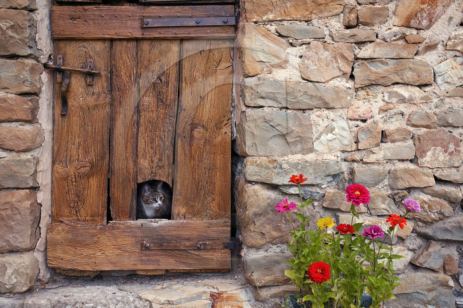 Saint-André de Rosans, Chambres et tables d'hôtes La Condamine