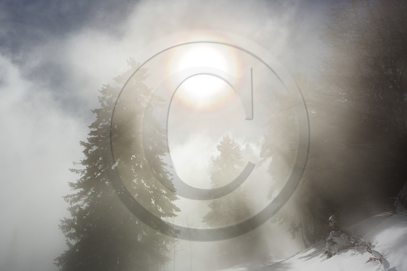 Espace naturel sensible de l'Isère, Col du Coq