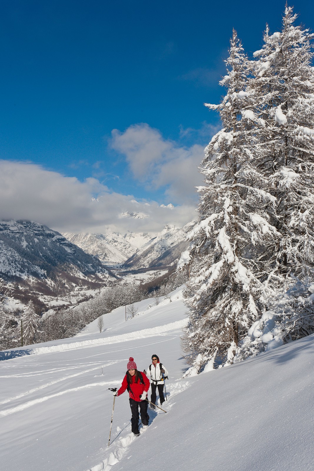 Randonnée raquettes