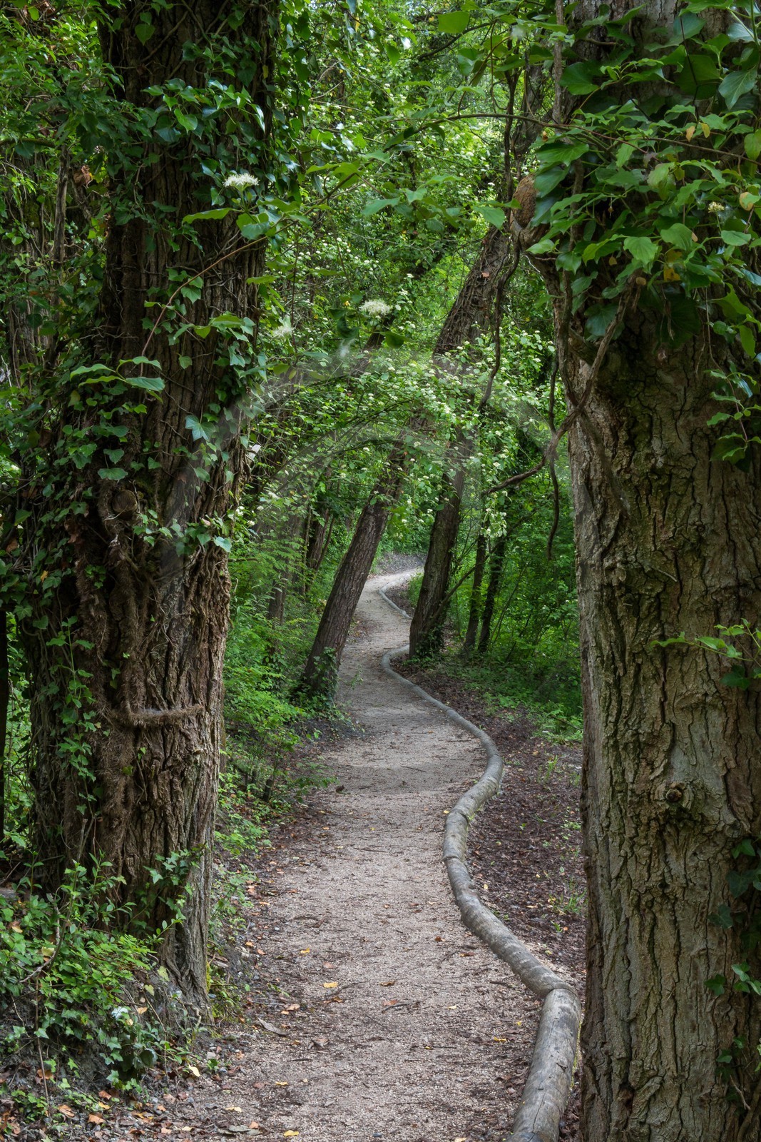 ENS de l'Isère, bois de la Bâtie