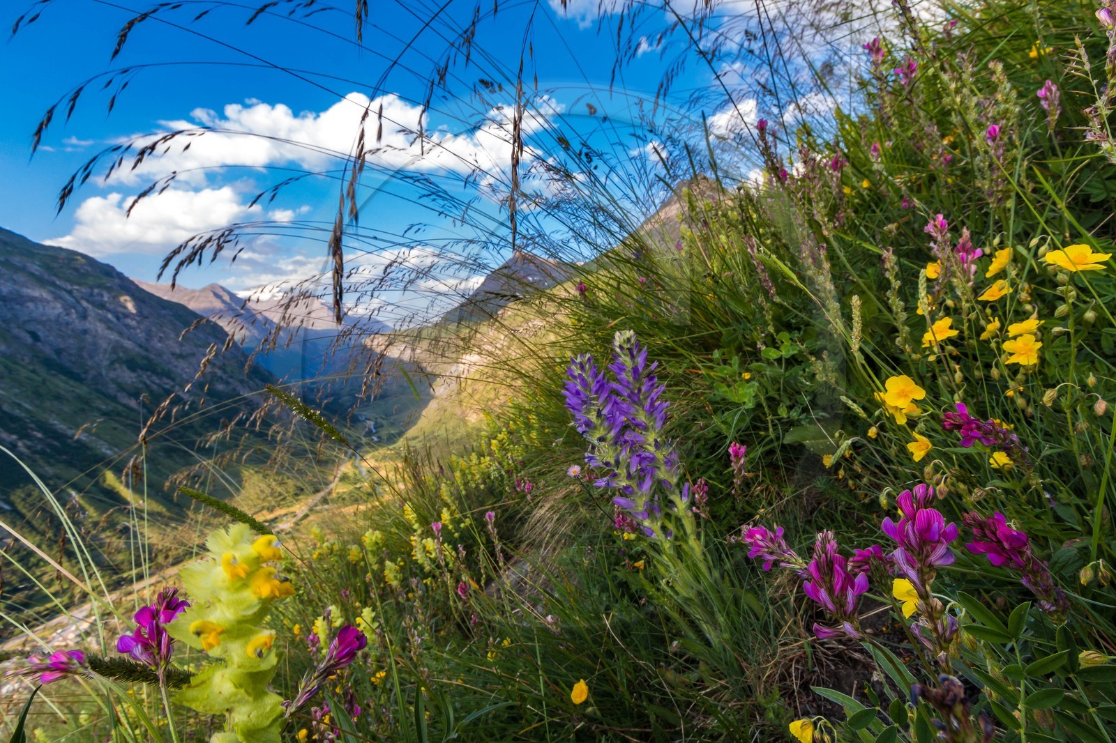 Bonneval-sur-Arc, col de l'Iseran