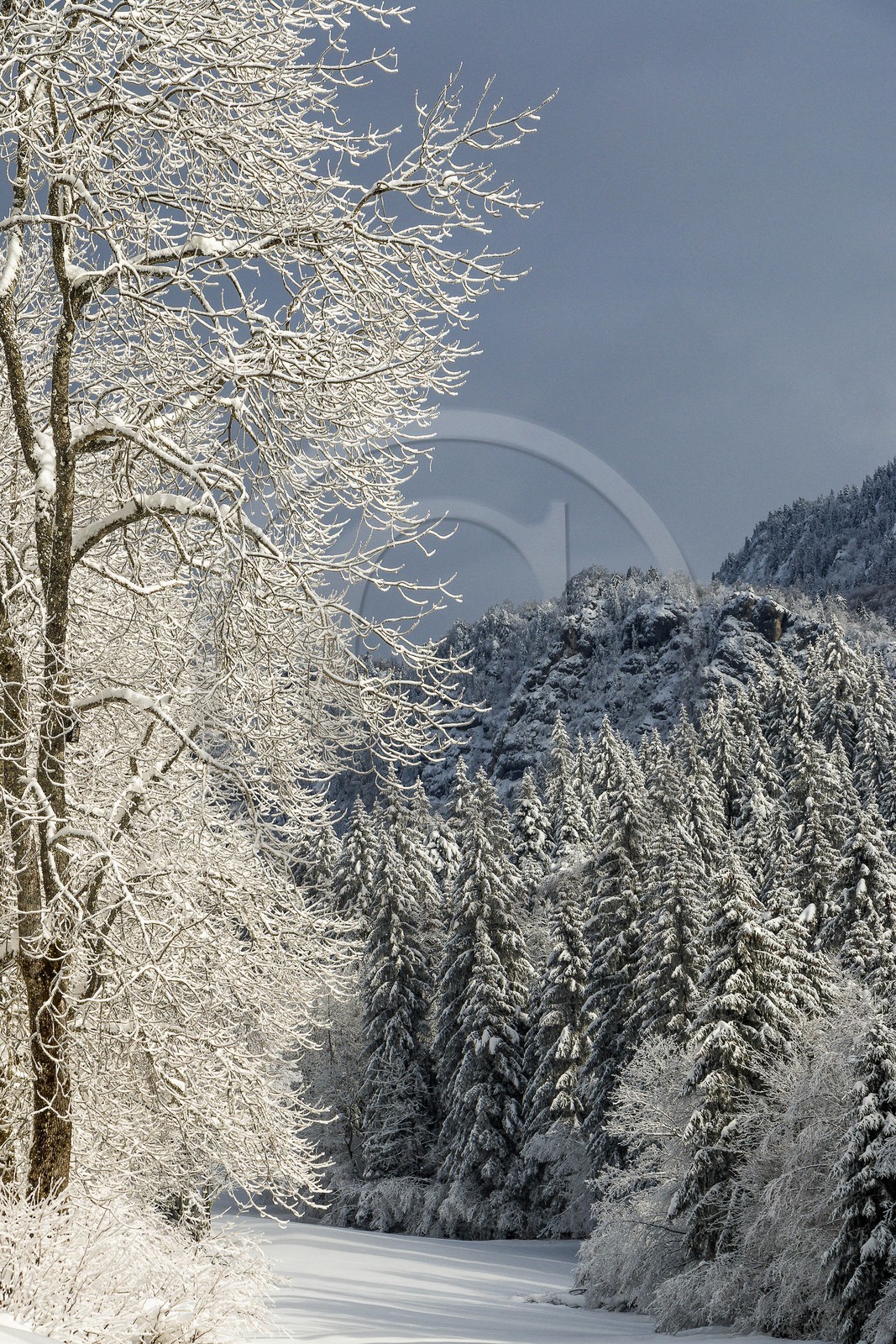 ENS de l'Isère, Les Ecouges