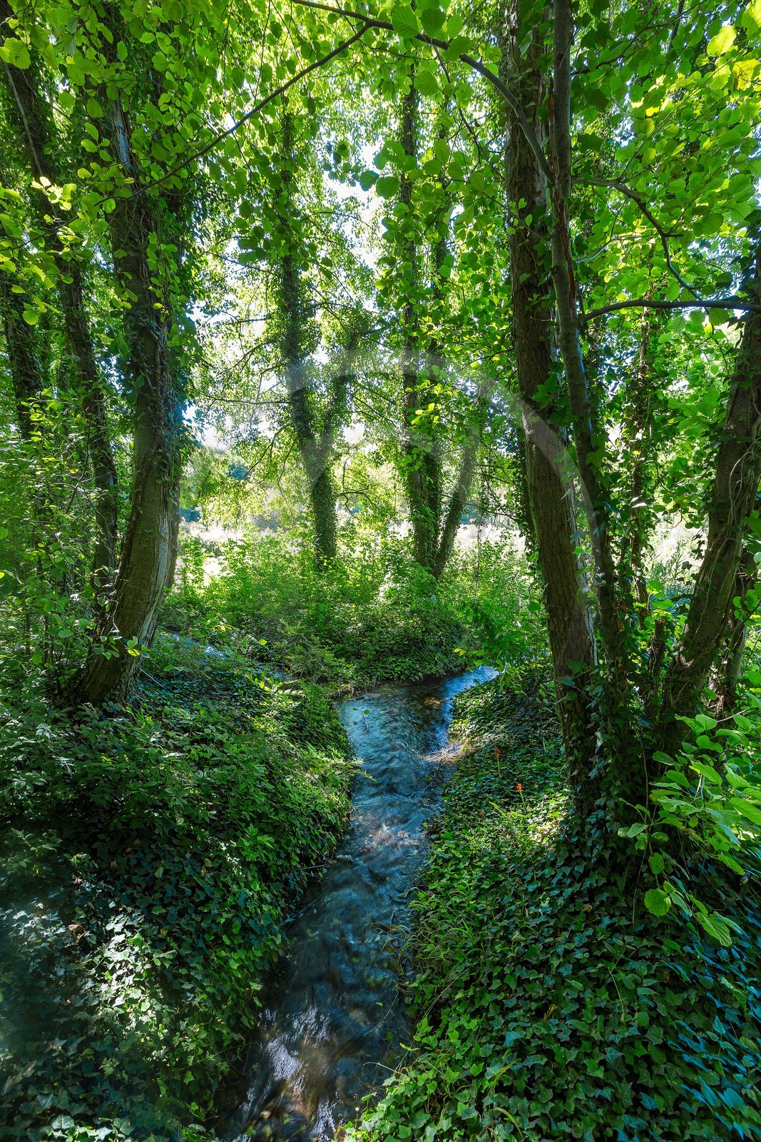 ENS de l'Isère, Les Fontaines de Beaufort