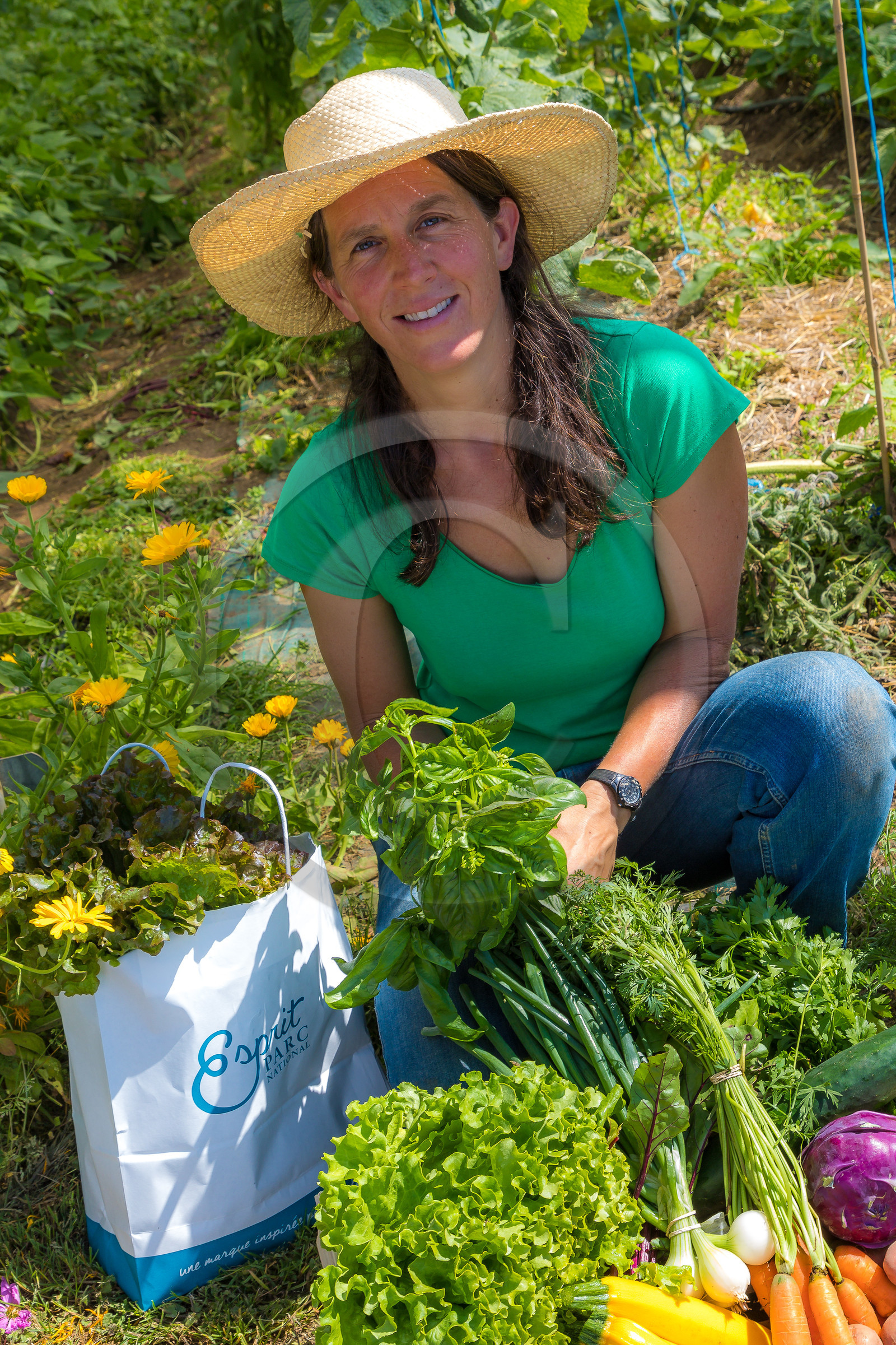LéguMontagne Sylvie Jaussaud , Maraîchères bio