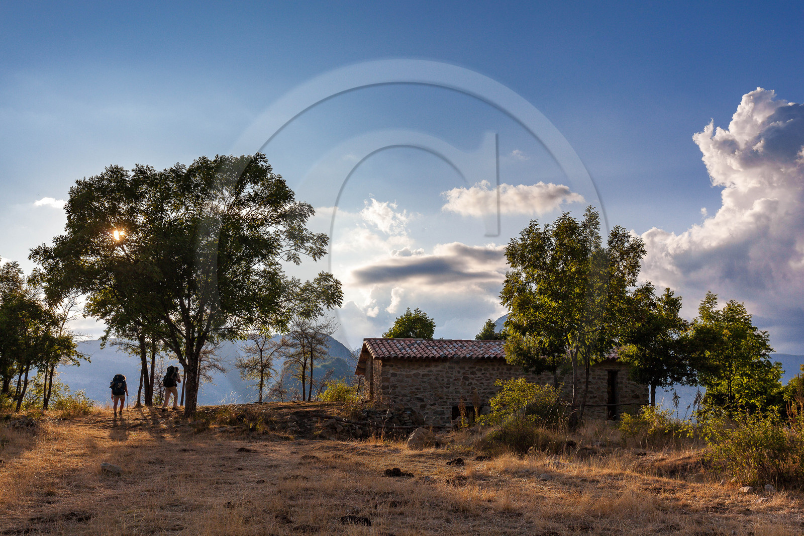 Refuge d'Art Vieil Esclangon d'Andy Goldsworthy