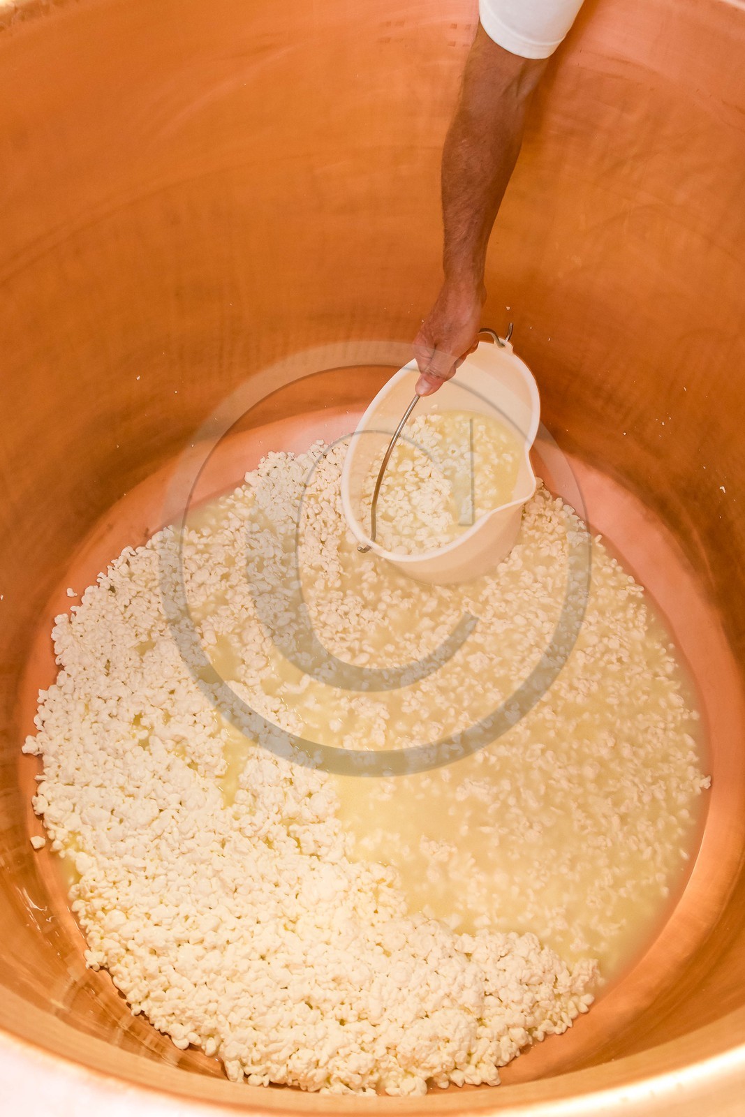 Vallée du Champsaur, fromagerie Ebrard