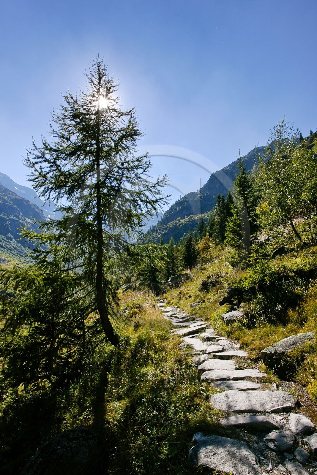 Réserve naturelle du Vallon de Bérard