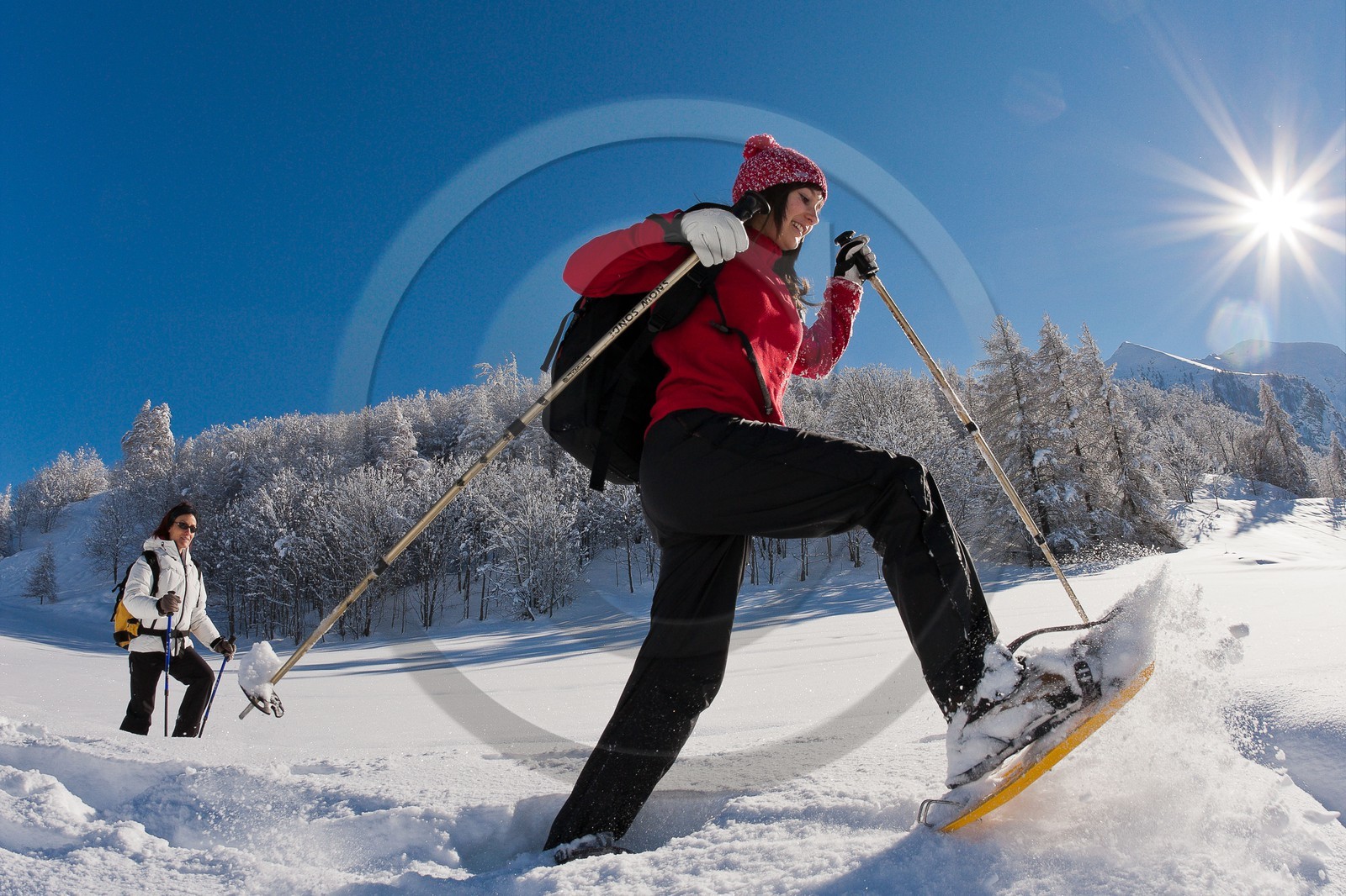 Randonnée raquettes