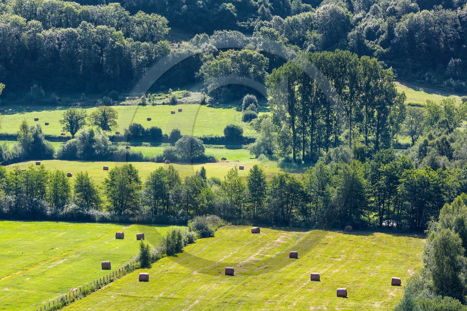 ENS de l'Isère, Marais de Chirens