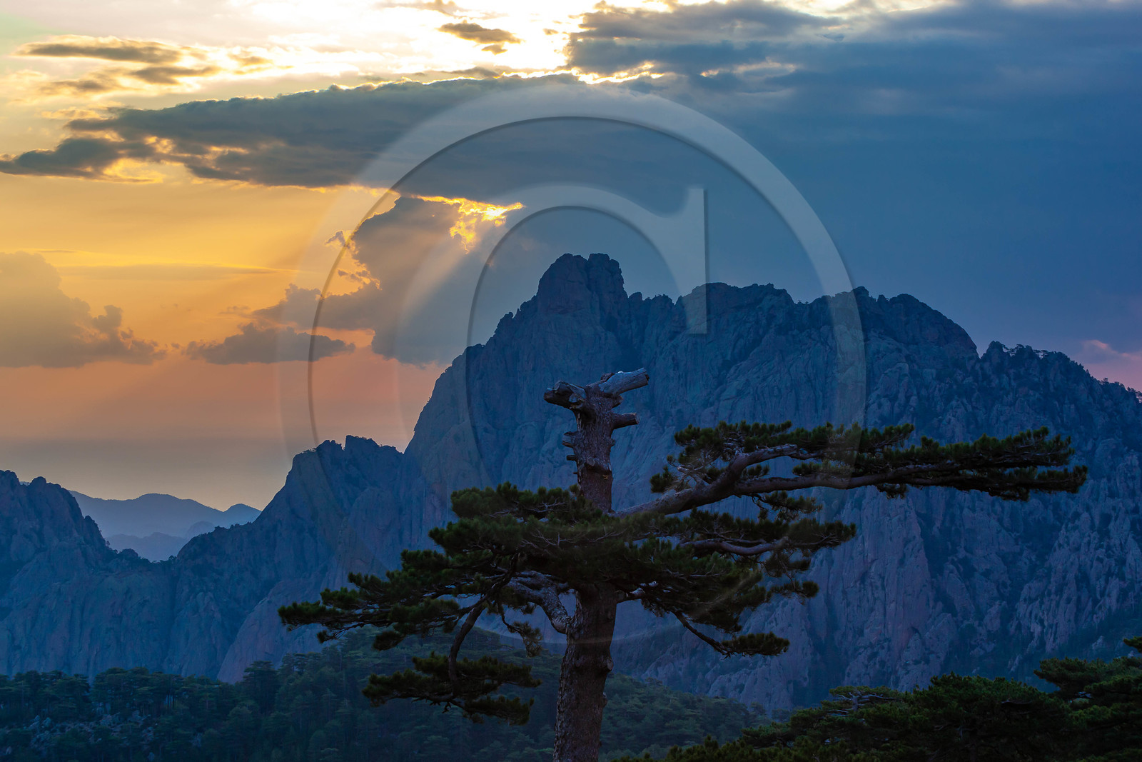 Les Aiguilles de Bavella (forchi di Bavedda )