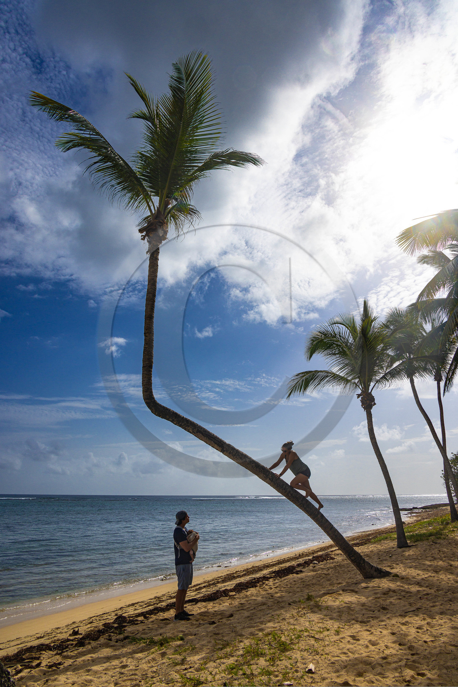 Guadeloupe, Le Moule, Anse Conchou