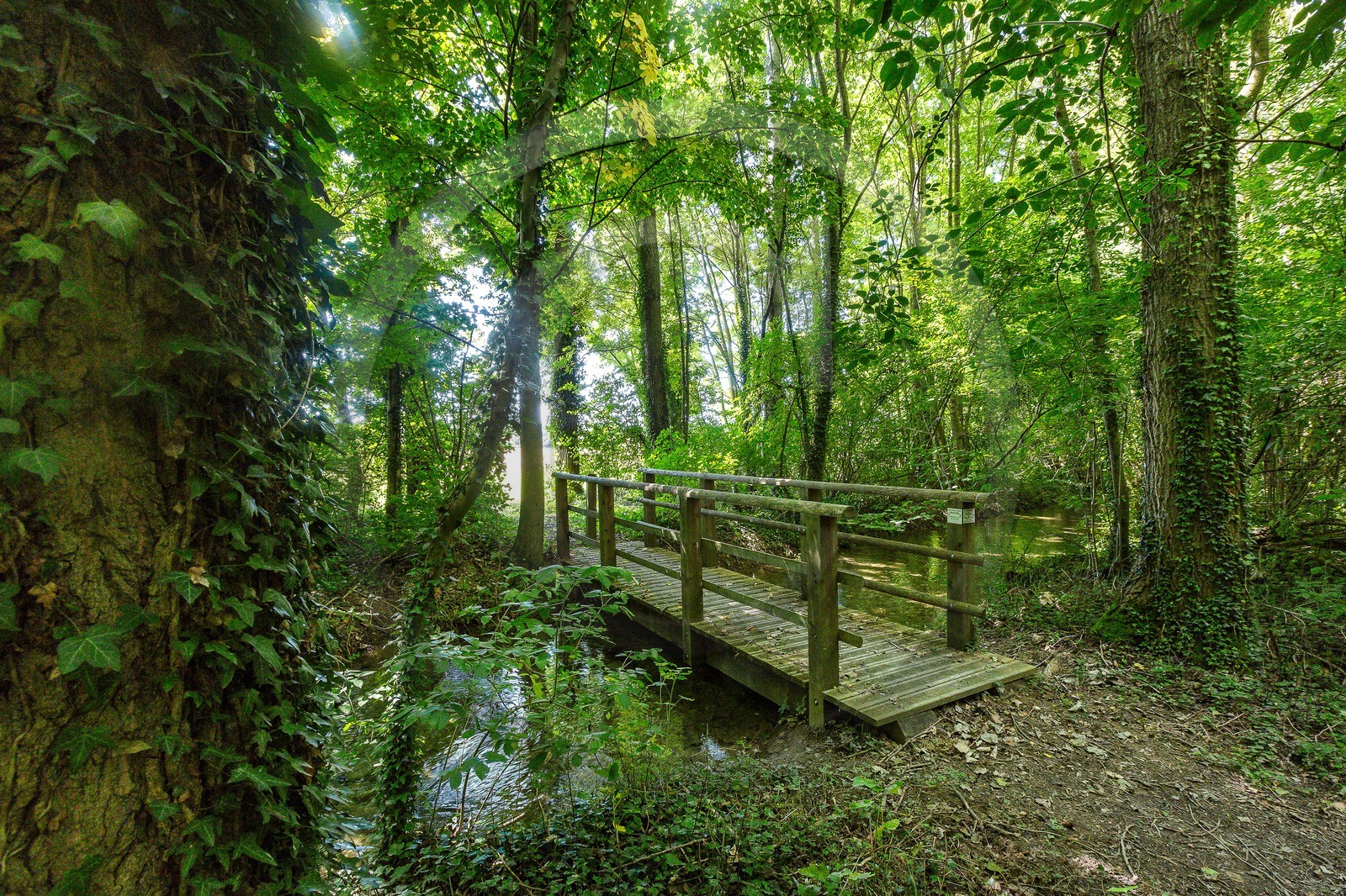 ENS de l'Isère, Les Fontaines de Beaufort