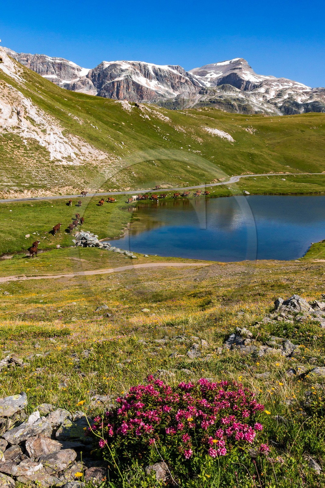 Termignon, Plan du Lac