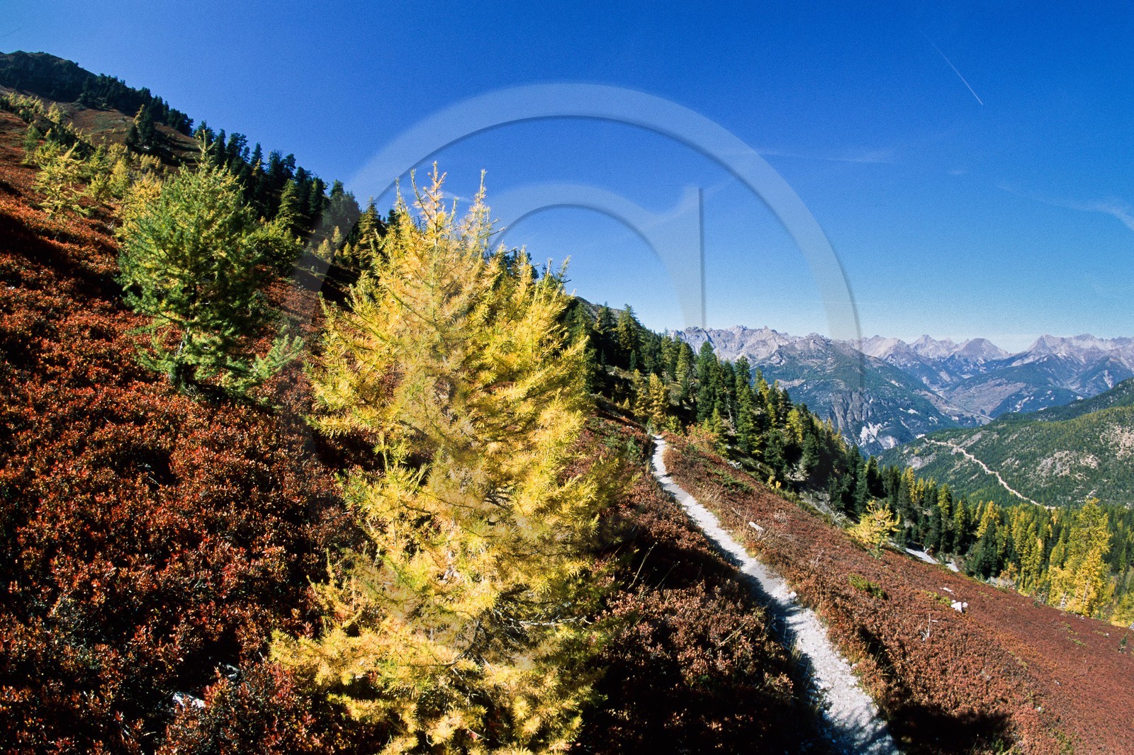 Sentier du col Fromage