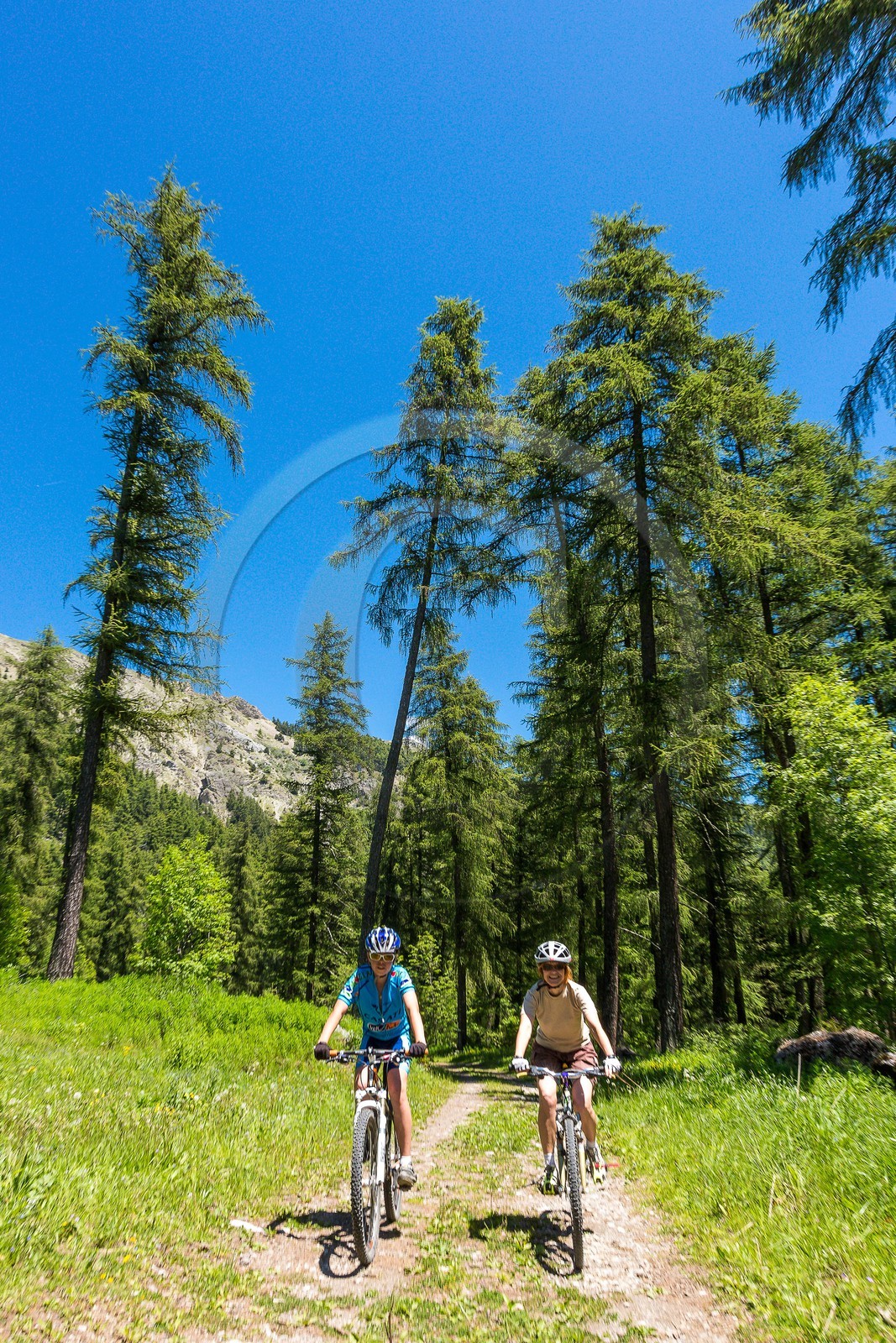 Réallon, vtt à Plate Longue