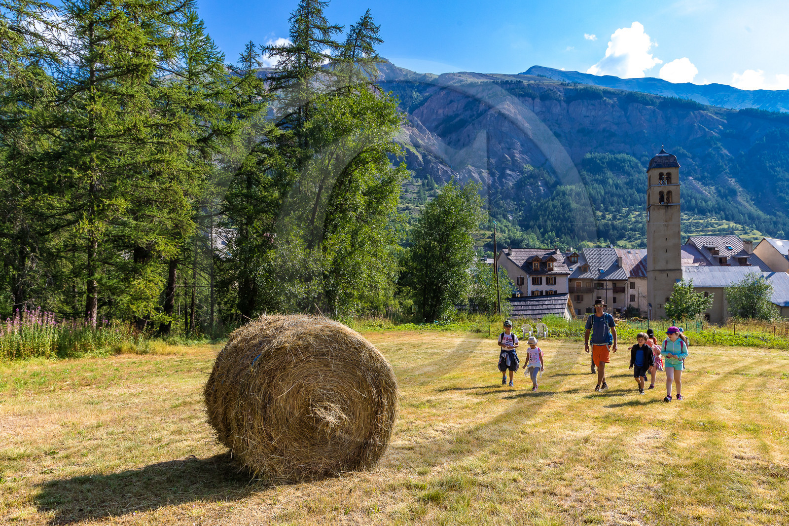 Curieux de nature, sortie découverte avec Cyril Mahout