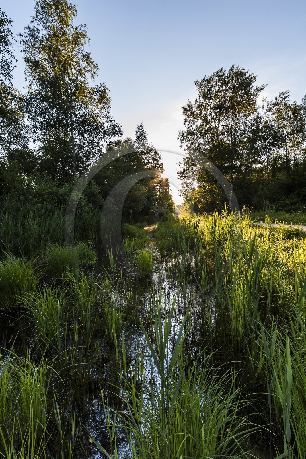 ENS de l'Isère, Marais de Montfort