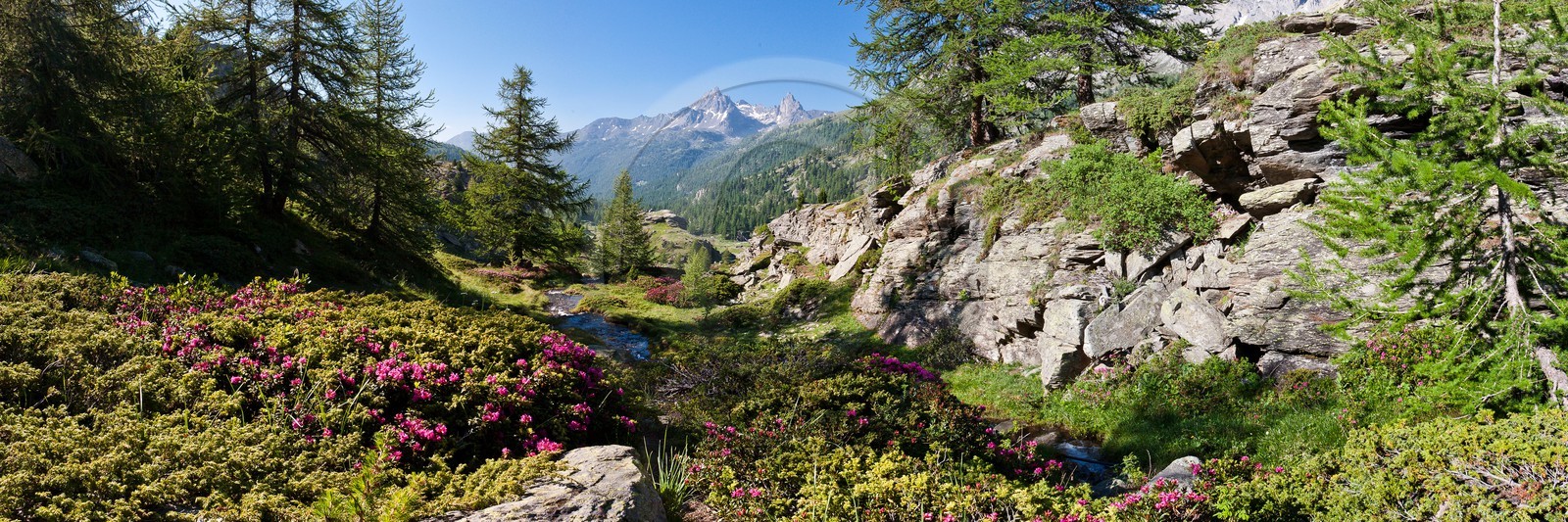 Vallée de la Clarée