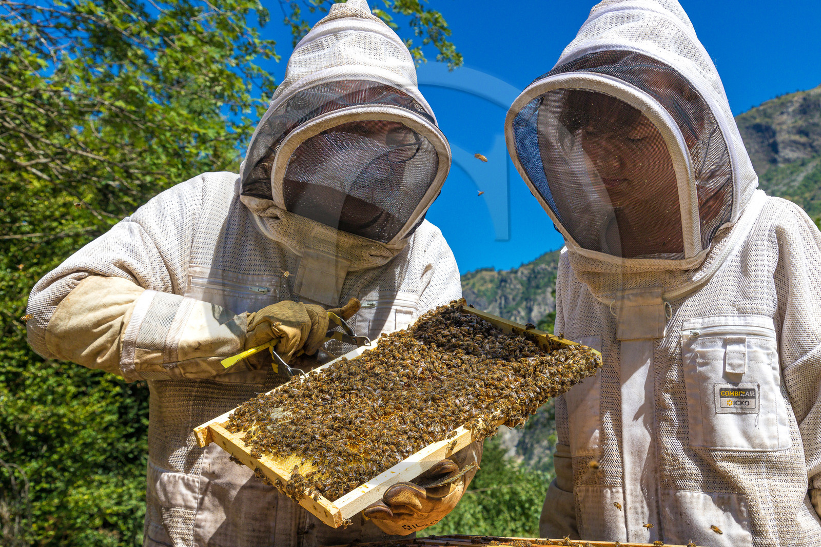Margaux et Didier Pissard, apiculteurs