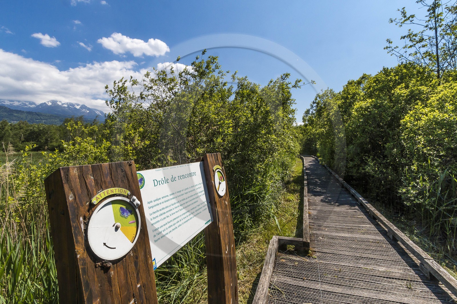 ENS de l'Isère, Marais de Montfort