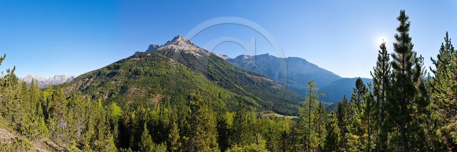 Forêt domaniale des Sauvas
