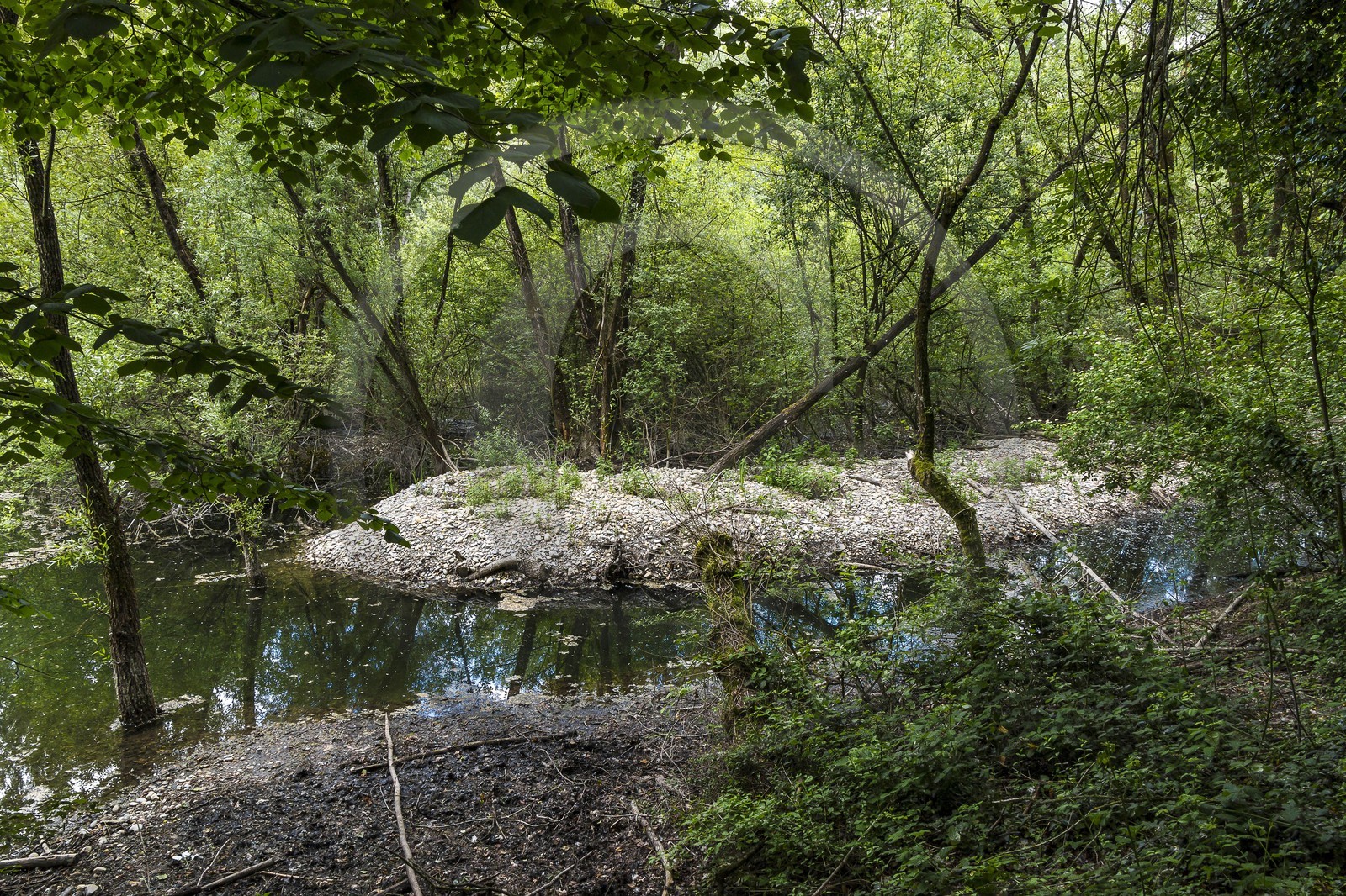 ENS de l'Isère, bois de la Bâtie